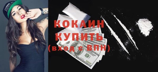 соль ск Кодинск