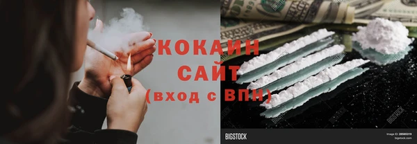 PSILOCYBIN Гусев