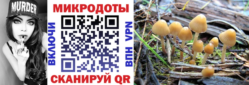 Галлюциногенные грибы ЛСД  ОМГ ОМГ ССЫЛКА  Хабаровск 